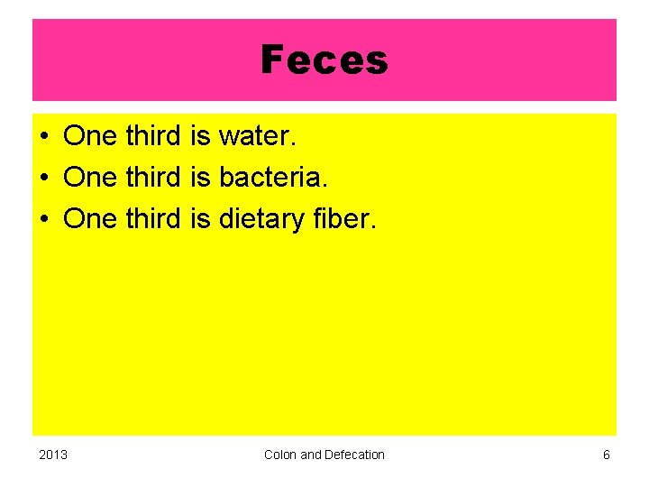 Feces • One third is water. • One third is bacteria. • One third