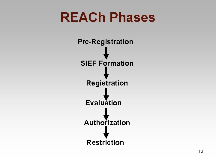 REACh Phases Pre-Registration SIEF Formation Registration Evaluation Authorization Restriction 18 