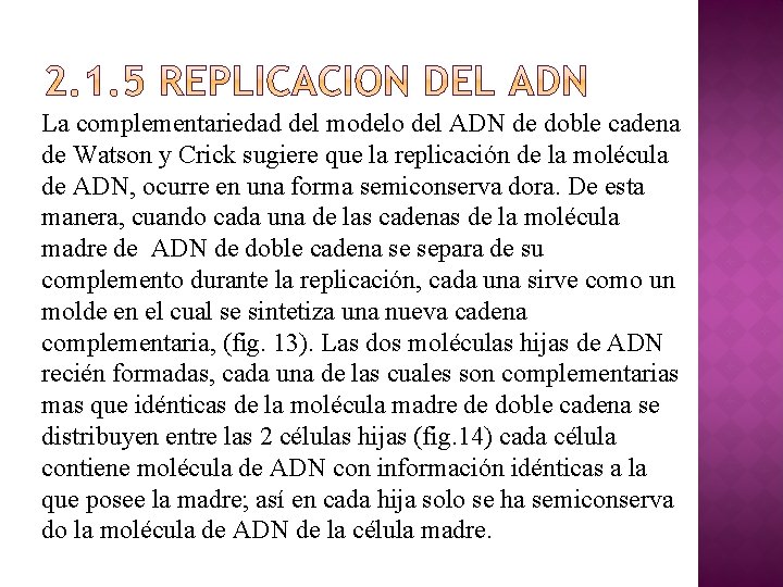 La complementariedad del modelo del ADN de doble cadena de Watson y Crick sugiere