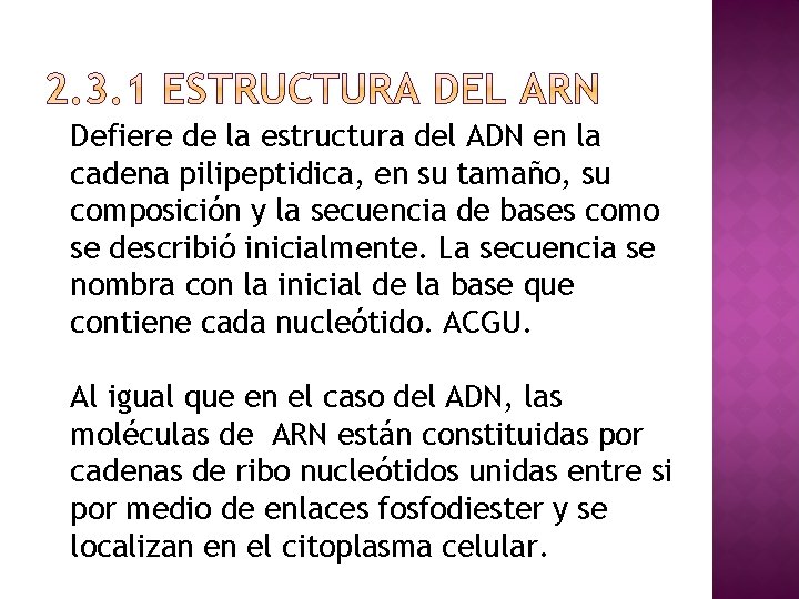 Defiere de la estructura del ADN en la cadena pilipeptidica, en su tamaño, su