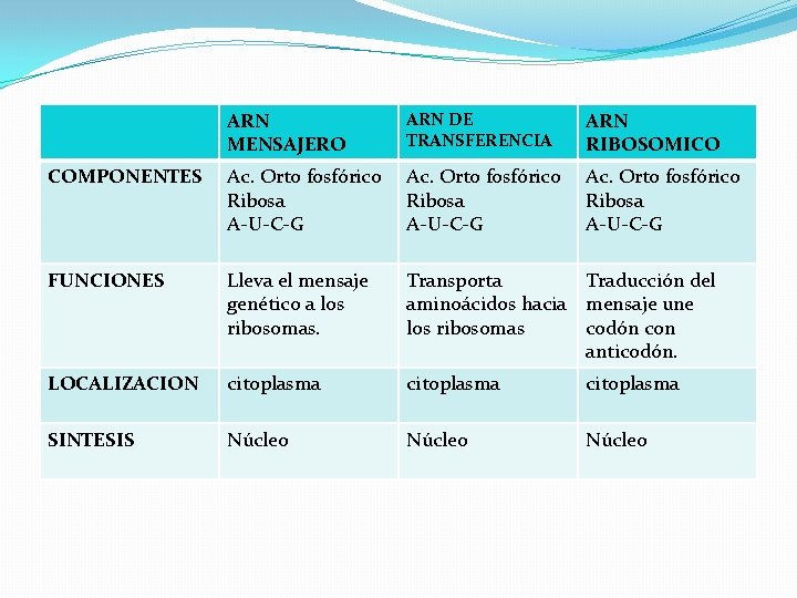 ARN MENSAJERO ARN DE TRANSFERENCIA ARN RIBOSOMICO COMPONENTES Ac. Orto fosfórico Ribosa A-U-C-G FUNCIONES