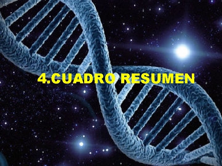 4. CUADRO RESUMEN 