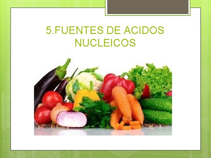 5. FUENTES DE ACIDOS NUCLEICOS 