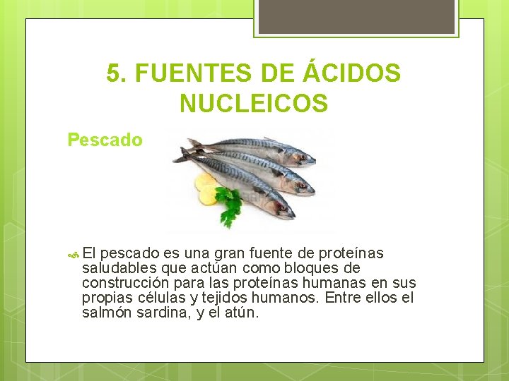 5. FUENTES DE ÁCIDOS NUCLEICOS Pescado El pescado es una gran fuente de proteínas