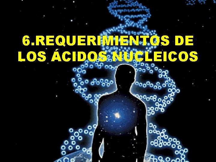 6. REQUERIMIENTOS DE LOS ÁCIDOS NUCLEICOS 