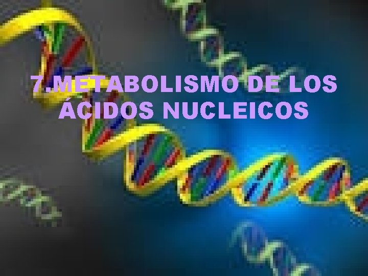 7. METABOLISMO DE LOS ÁCIDOS NUCLEICOS 