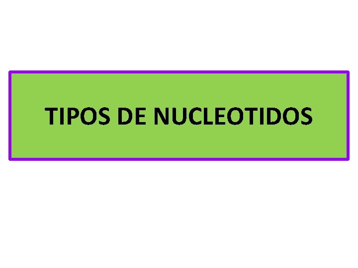 TIPOS DE NUCLEOTIDOS 