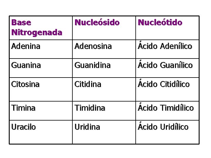 Base Nitrogenada Nucleósido Nucleótido Adenina Adenosina Ácido Adenílico Guanina Guanidina Ácido Guanílico Citosina Citidina