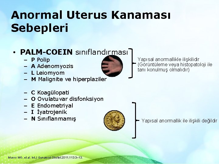 Anormal Uterus Kanaması Sebepleri • PALM-COEIN sınıflandırması – – P Polip A Adenomyozis L