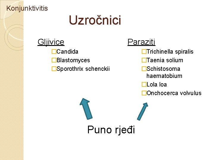 Konjunktivitis Uzročnici Gljivice Paraziti �Candida �Blastomyces �Sporothrix schenckii Puno rjeđi �Trichinella spiralis �Taenia solium