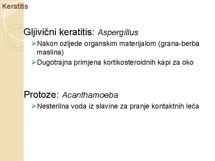 Keratitis Gljivični keratitis: Aspergillus ØNakon ozljede organskim materijalom (grana-berba maslina) ØDugotrajna primjena kortikosteroidnih kapi