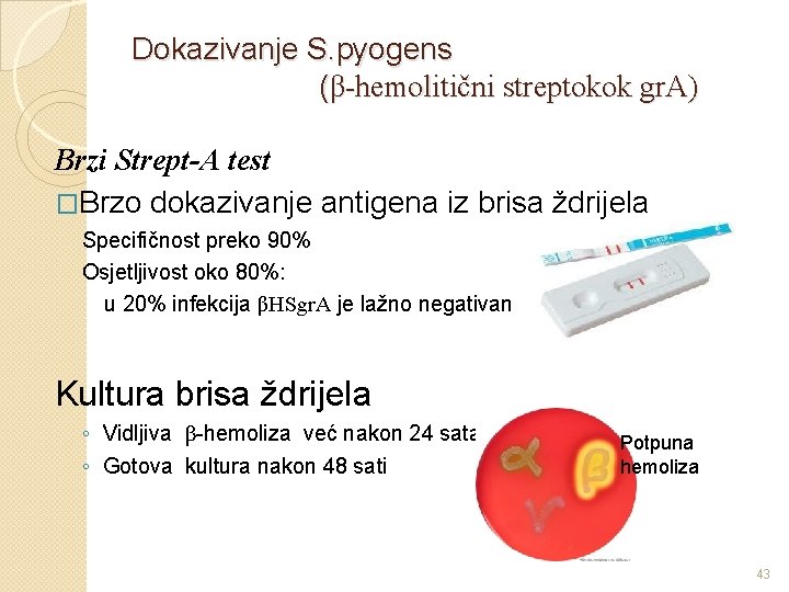 Dokazivanje S. pyogens (β-hemolitični streptokok gr. A) Brzi Strept-A test �Brzo dokazivanje antigena iz