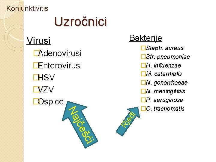 Konjunktivitis Uzročnici Bakterije Virusi �Staph. aureus �Str. pneumoniae �H. influenzae �M. catarrhalis �N. gonorrhoeae