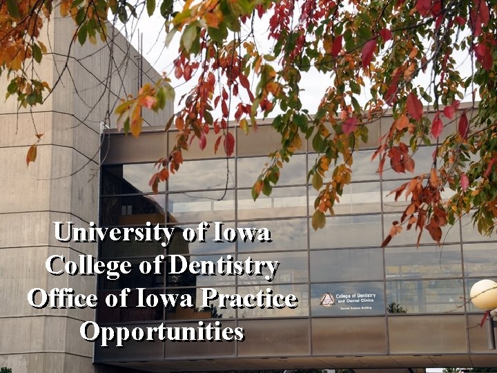 University of Iowa College of Dentistry Office of Iowa Practice Opportunities College of Dentistry
