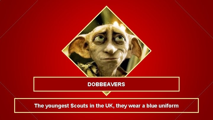 DOBBEAVERS The youngest Scouts in the UK, they wear a blue uniform 