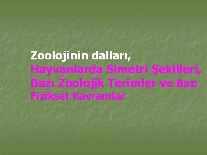 Zoolojinin dalları, Hayvanlarda Simetri Şekilleri, Bazı Zoolojik Terimler ve Bazı Fiziksel Kavramlar 