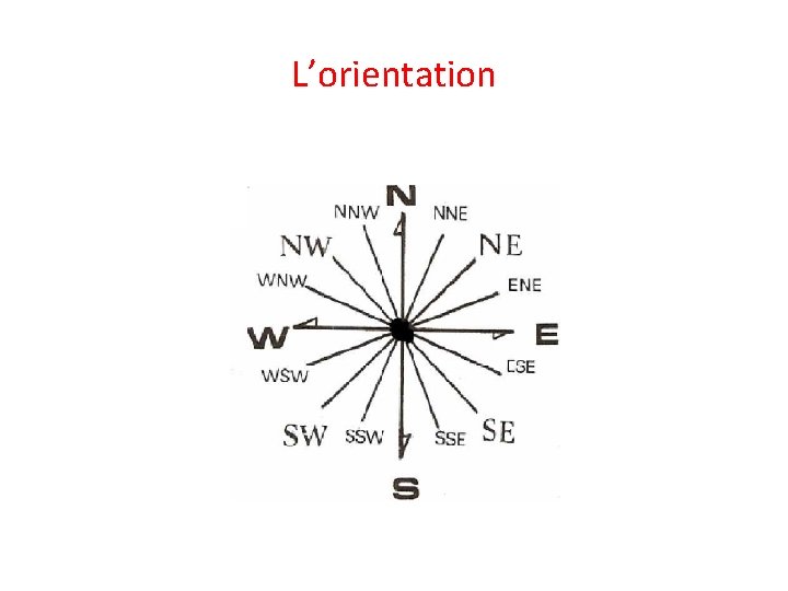 L’orientation 