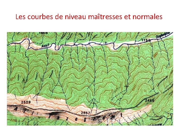 Les courbes de niveau maîtresses et normales 