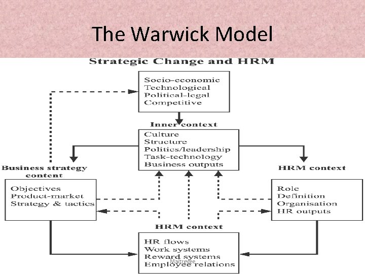 The Warwick Model Maitreyee 