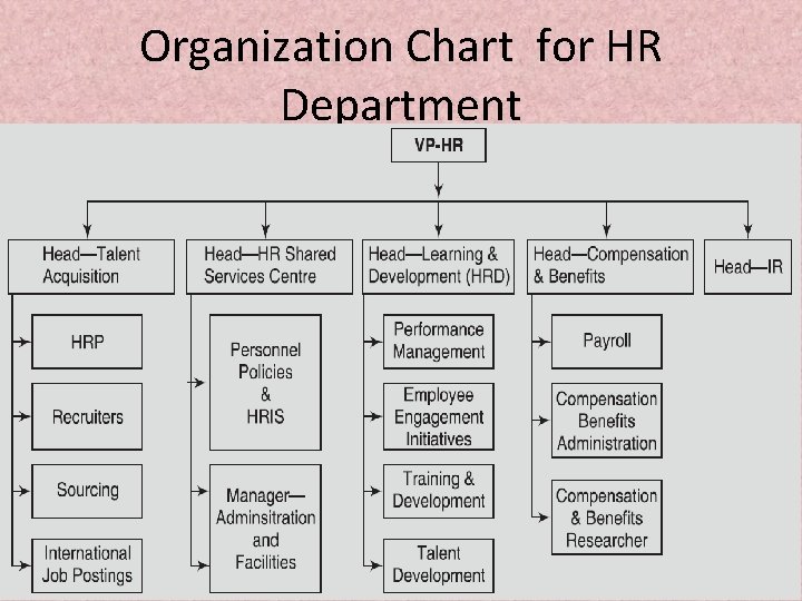 Organization Chart for HR Department Composition of HR Department Maitreyee 78 
