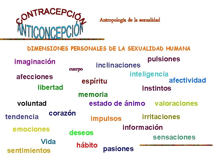Antropología de la sexualidad DIMENSIONES PERSONALES DE LA SEXUALIDAD HUMANA imaginación afecciones libertad pulsiones