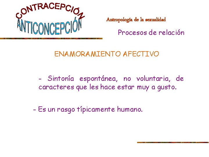 Antropología de la sexualidad Procesos de relación ENAMORAMIENTO AFECTIVO - Sintonía espontánea, no voluntaria,