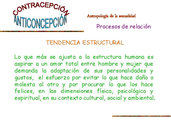 Antropología de la sexualidad Procesos de relación TENDENCIA ESTRUCTURAL Lo que más se ajusta