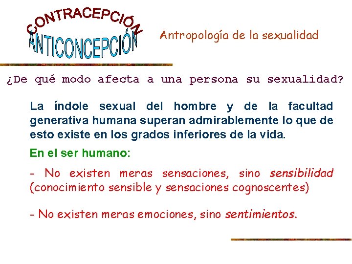 Antropología de la sexualidad ¿De qué modo afecta a una persona su sexualidad? La