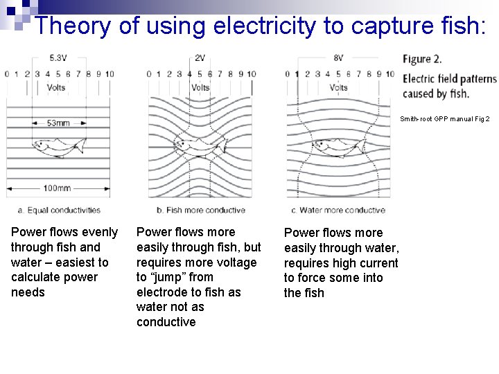 Theory of using electricity to capture fish: Smith-root GPP manual Fig 2 Power flows