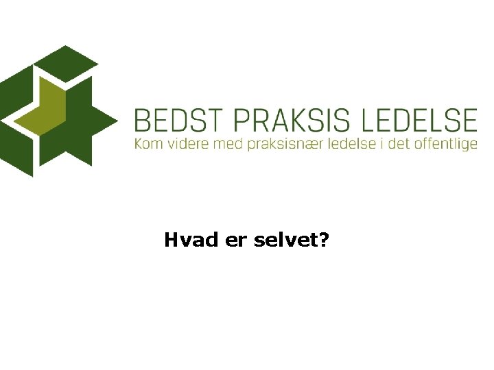 Hvad er selvet? 