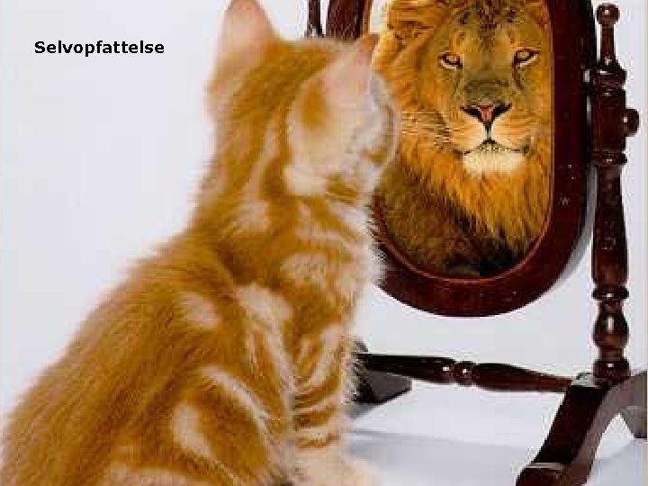 Selvopfattelse Selvopfattelse