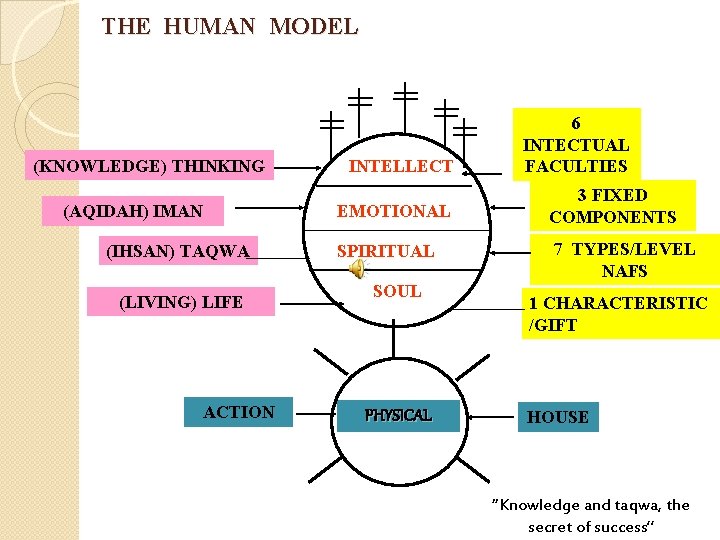 THE HUMAN MODEL (KNOWLEDGE) THINKING (AQIDAH) IMAN (IHSAN) TAQWA (LIVING) LIFE ACTION INTELLECT EMOTIONAL