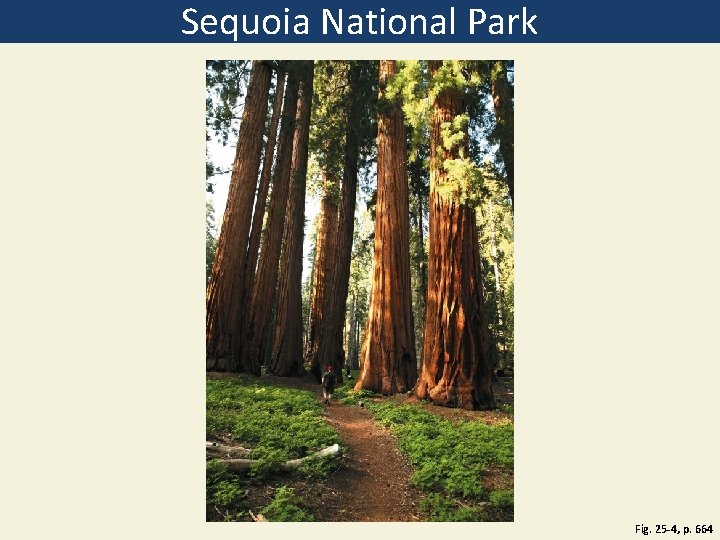 Sequoia National Park Fig. 25 -4, p. 664 