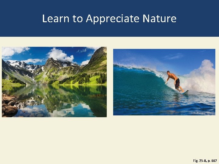 Learn to Appreciate Nature Fig. 25 -8, p. 667 