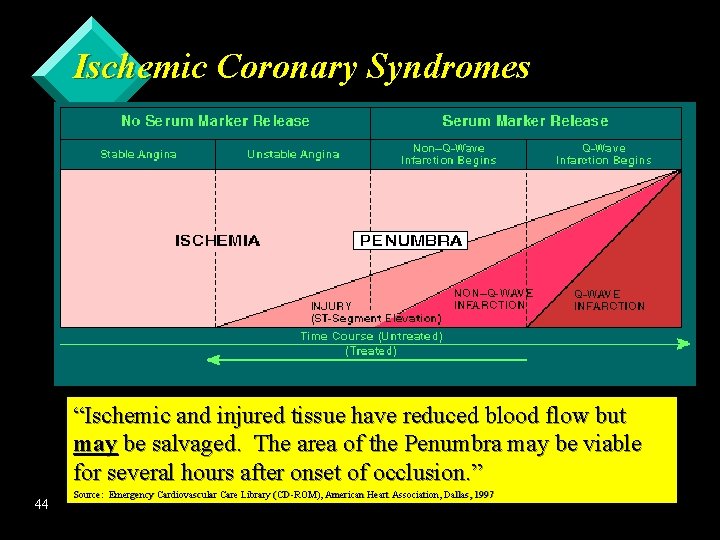 Ischemic Coronary Syndromes “Ischemic and injured tissue have reduced blood flow but may be