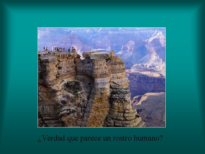 ¿Verdad que parece un rostro humano? ¿Verdad que parece un rostro humano?