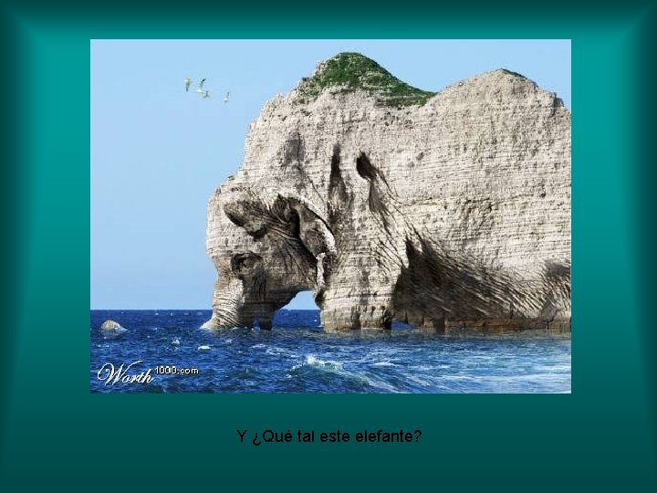 Y ¿Qué tal este elefante? Y ¿Qué tal este elefante?