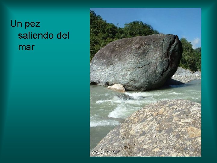 Un pez saliendo del mar Un pez saliendo del mar