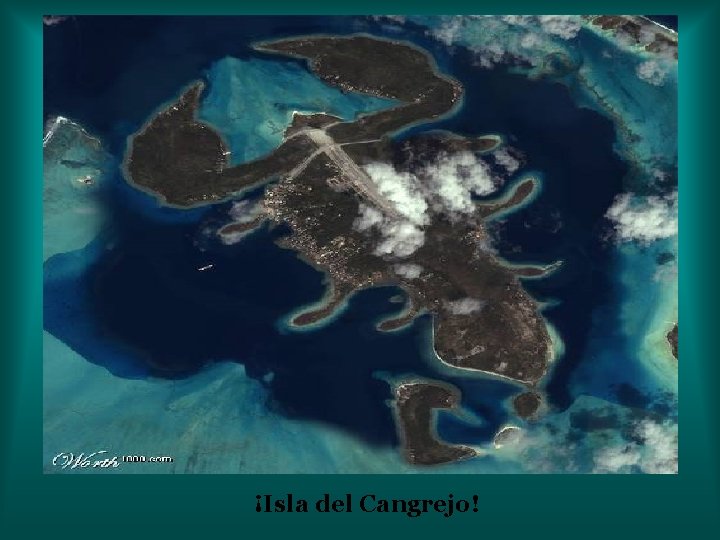 ¡Isla del Cangrejo! ¡Isla del Cangrejo!