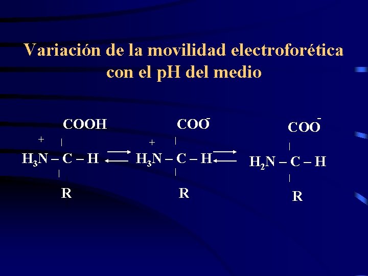 Variación de la movilidad electroforética con el p. H del medio - COOH +