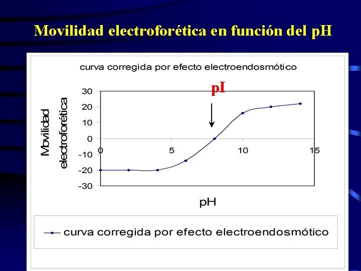 Movilidad electroforética en función del p. H p. I 