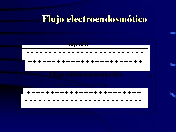 Flujo electroendosmótico soporte -------------++++++++++++ + Flujo electroendosmótico ++++++++++++ ------------- - 
