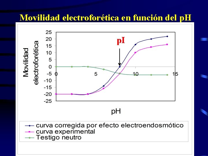 Movilidad electroforética en función del p. H p. I 