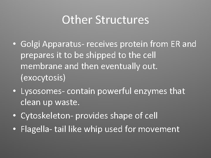 Other Structures • Golgi Apparatus- receives protein from ER and prepares it to be