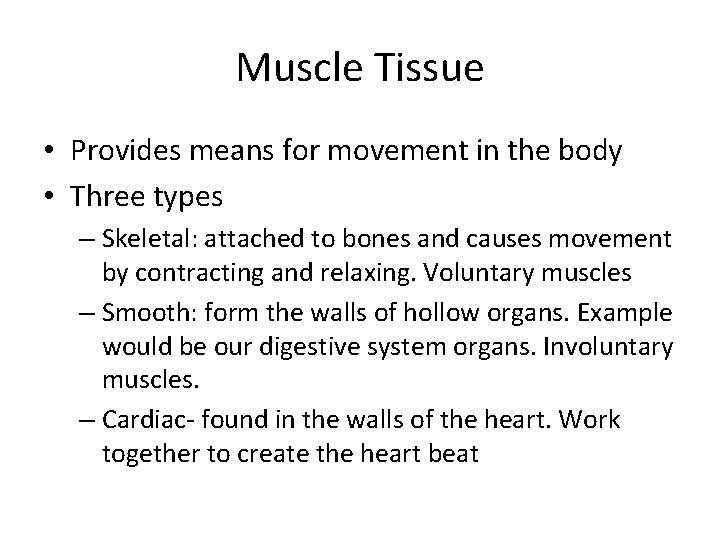 Muscle Tissue • Provides means for movement in the body • Three types –