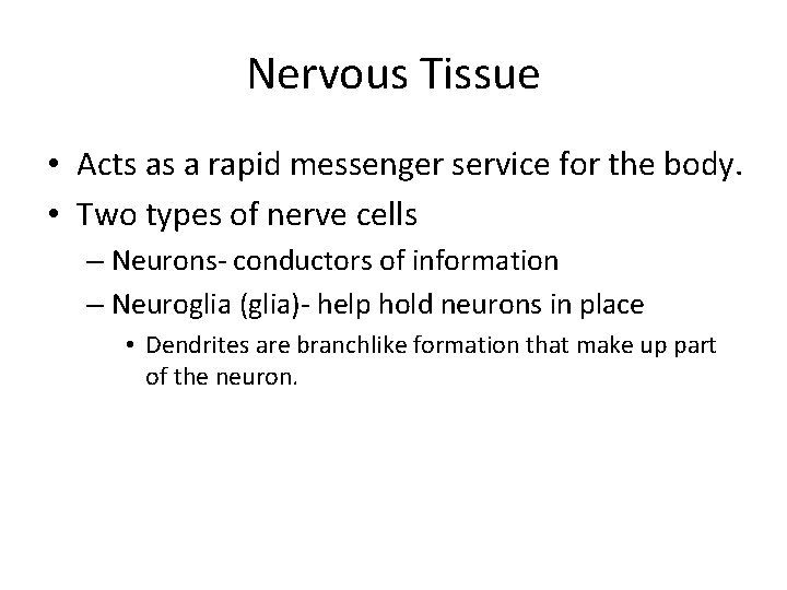 Nervous Tissue • Acts as a rapid messenger service for the body. • Two