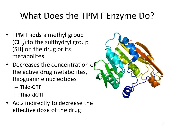 What Does the TPMT Enzyme Do? • TPMT adds a methyl group (CH 3)