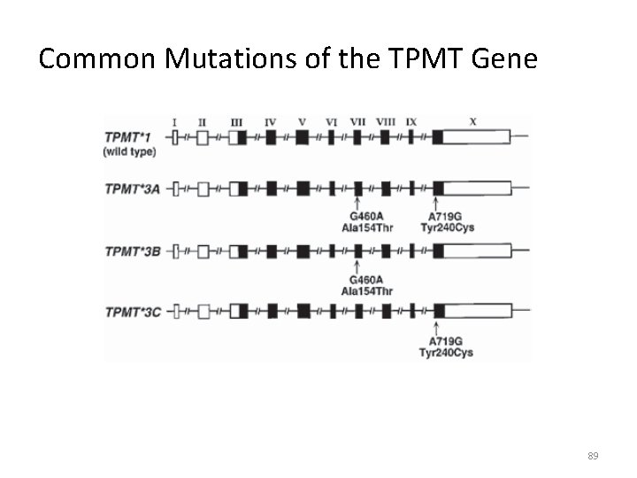 Common Mutations of the TPMT Gene 89 