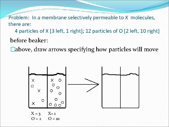 Problem: In a membrane selectively permeable to X molecules, there are: 4 particles of