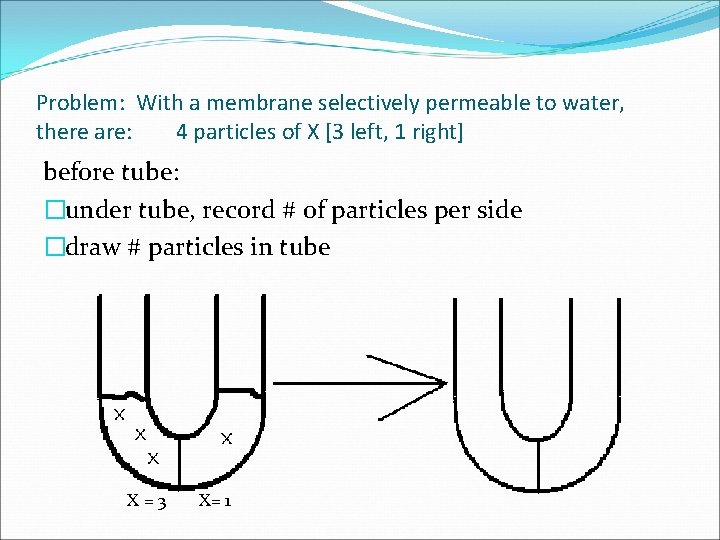 Problem: With a membrane selectively permeable to water, there are: 4 particles of X